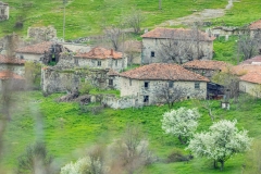 Potochnica