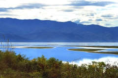 Birding and wildlife holiday in Bulgaria and Greece