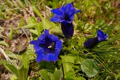 20170619_105052