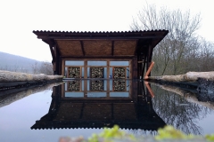 Drinking-pool-in-front-of-the-tower-hide