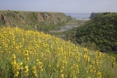 Bolata_Chavdar3