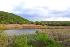 Mandra lake_Dimiter Georgiev