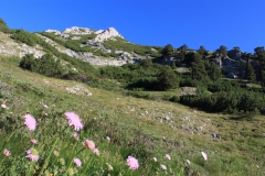 Pirin Mnts
