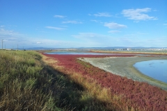 Pomorie Lake