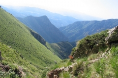 rockpartrige habitat