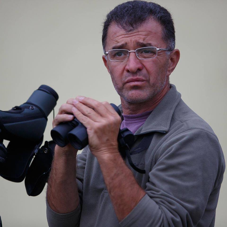 Daniel Mitev