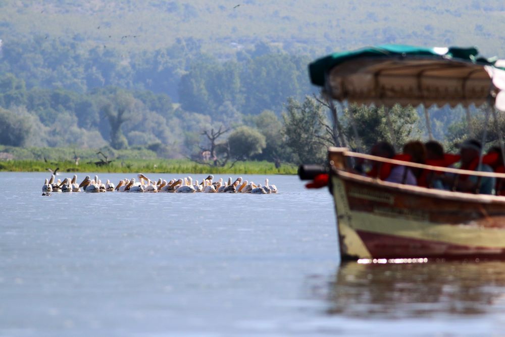Spring Birdwatching Tour in Bulgaria and Greece